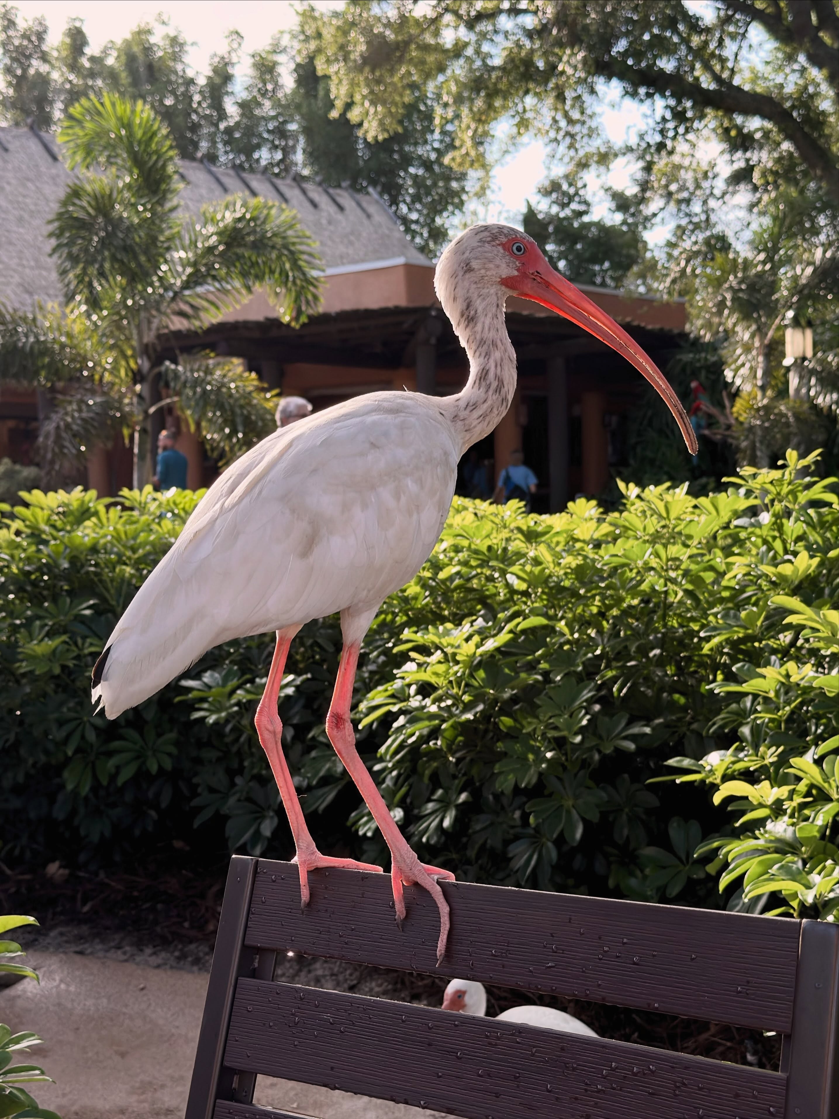 Florida